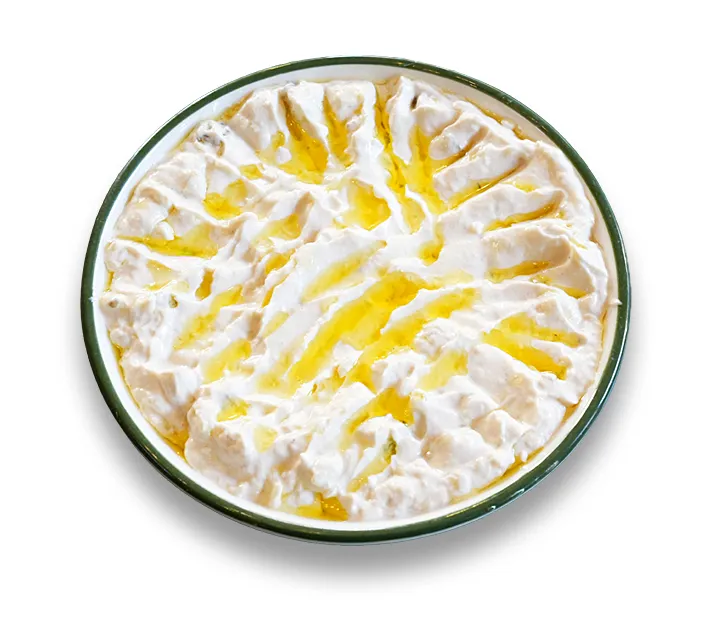 Mütebbel